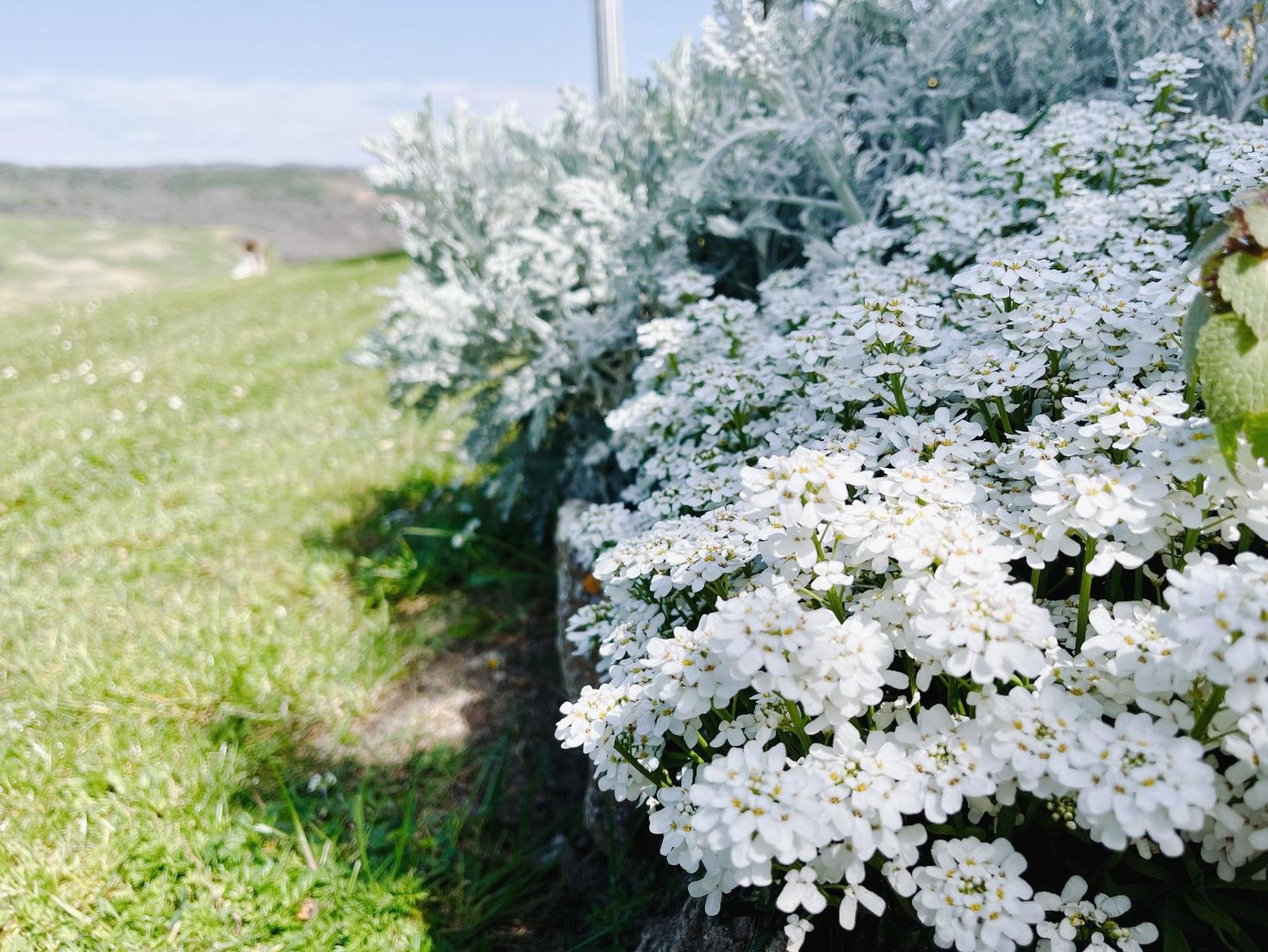 Poggiosalto In Toscana 피엔자 외부 사진
